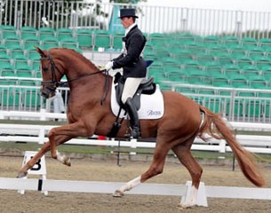 Michael Eilberg on Woodlander Farouche