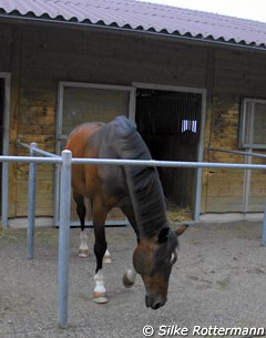 Regent in his pen