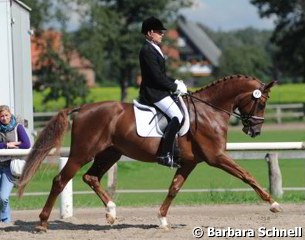 Johannes Westendarp on the Hanoverian reserve champion Bailador de Amor. This Breitling x DiMaggio offspring is owned by American Cheryl Wyllie