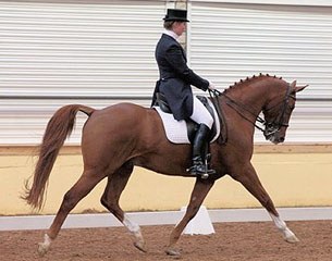 Sarah Mellor and Fahrenheit Win 2010 Irish Grand Prix Championship