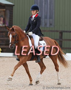 Doppelspiel has been leased to a pony rider for one season