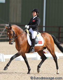 Turkish representatives: Rotem Ibrahimzadh on former German team pony Flamenco Star