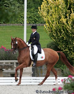 Portuguese Rodrigo Galiza Mendes and Wonderbra (by Wolkenstein II x Grenadier) showed some super trot work. Galiza Mendes has a nice quiet seat and steady hand. Pity that the canter work was spoilt by much tension