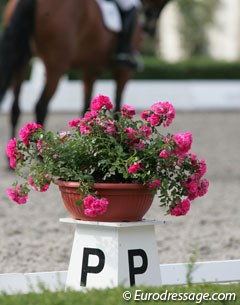 Dressage letter at the 2010 European Junior/Young Riders Championship show ring in Kronberg :: Photo © Astrid Appels