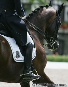 Probably the ugliest saddle pad ever. This dark logo is supposed to suggest that the rider is competing for Belgium. Sponsor Lami Cell was more interested in marketing its own brand than providing a "Belgian" coloured pad.