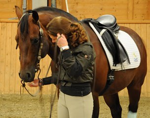 Emma and Big Time Rooster (by Gallo del Cielo x Smart Little Lena x Jose Uno)