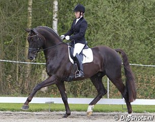 German Jana Freund on the Dutch registered Aaron (by Florencio x Record) :: Photo © Leanjo de Koster