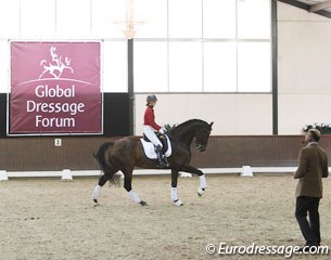 Jonny Hilberath assisting Julie de Deken on her Holsteiner stallion Lucky Dance