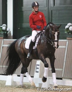 Marije Tromp with her muscled bay stallion Veni Vidi Vici (by Krack C x Amsterdam)