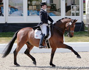 Robert Acs and Weinzauber at the 2010 CDI Hagen