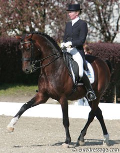 Swedish Rose Mathisen on Bocelli (by Don Schufro). Super talented horse but the rider got tense when he made mistakes. What a pity