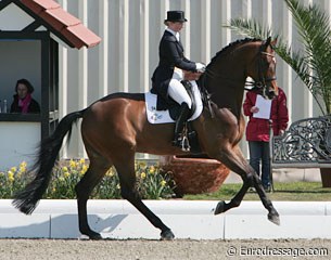 Talk about unlimited potential. Kristy Oatley's gigantic Ronan (standing approximately 185 cm) has an out-of-this-world canter!