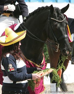 A well earned carrot for winner Fritz San Tino