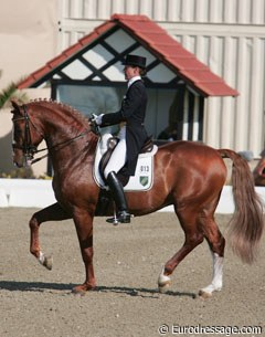 Twelve combinations qualified for the finals' test through the warm up round. Petra Wilm and the Holsteiner Almoretto placed 12th in that Finals' class, a young Grand Prix horse test.