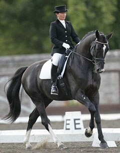 Anne Marie Dunphy on her Dutch warmblood Urbanus (by Ronaldo x Ferro x Belisar)