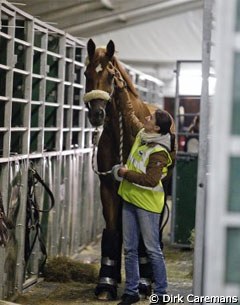 Warum Nicht FRH is patiently waiting for his turn. Isabell Werth's groom Anna Kleniuk joins him.