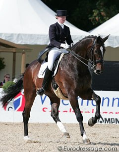 Blue Hors Stud rider Maria Andersen on Consequent. The gelding hasn't got the most modern conformation and a bit too much "roundness" in his gaits but this dark bay Danish warmblood has incredible cadence and rhythm.