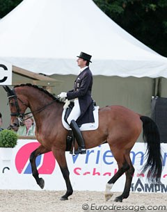 Dieter Laugks and the Danish warmblood Meggle's Shogun (by Solos Carex x Schwadroneur). This horse has an amazing piaffe and passage and Laugks was one of the very few riding to fun and original music!