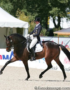 Monica Theodorescu and Karin Peter's small tour horse Radames, an Oldenburg gelding by Rockwell x Come On