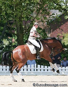 A frisky Don Johnson throws in a buck during a warm up session on Saturday morning. Isabell Werth has no problems staying in the saddle