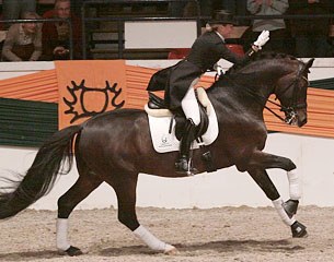 Fie Skarsoe and Munchhausen at the 2010 Trakehner Stallion Licensing