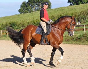 Bill schooling Airthrey Highlander ("Bowie") at home. He is a Clydesdale-crossbred nearing Grand Prix level.