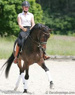 Schooling the trot half passes