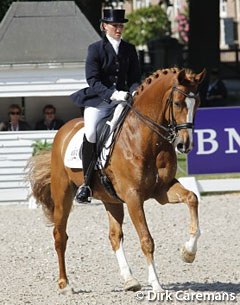Witness (by Hamlet x Burggraaf) at the 2010 Dutch Championships in De Steeg :: Photo © Dirk Caremans