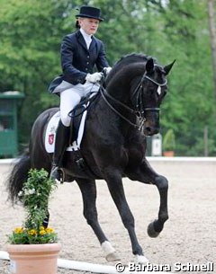 Sophie Holkenbrink on Show Star: a lovely pair that needs more competition experience. Holkenbrink  rides the licensed stallion beautifully and boy he is beautiful