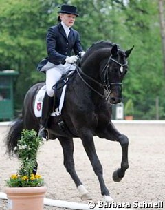 Sophie Holkenbrink on Show Star: a lovely pair that needs more competition experience. Holkenbrink  rides the licensed stallion beautifully and boy he is beautiful