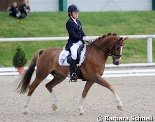 Former Dutch team pony Den Ostriks Dailan: owned by Sven Rothenberger but now on loan to German pony rider Sophie Kampmann