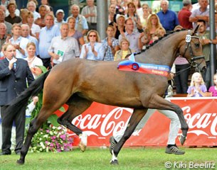 Fifty Fifty, Champion Mare in Rastede :: Photo © Kiki Beelitz