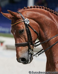 Ann Kathrin Linsenhoff's Whisper (by Welt HIt I O), ridden by Monica Theodorescu