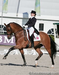 Danish Jeanette Sund and the pretty 14-year old Holsteiner Aquino (by Akinos)