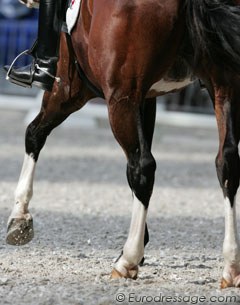 Nice legs in the evening sun