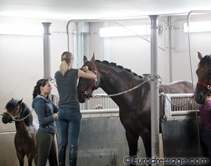 Sanvino being braided for the photo shoot