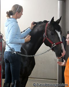 Natasja braiding Roberto Cavalli (by Rotspon)