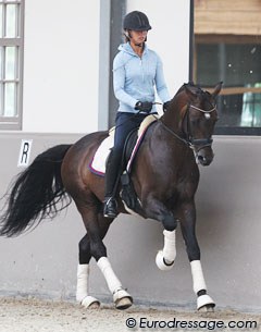 Natasja and Sanvino working on the canter