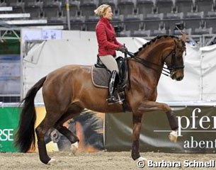 Nadine Capellmann brought her future Grand Prix star Girasol (by Gribaldi x Landioso) to train in Stuttgart