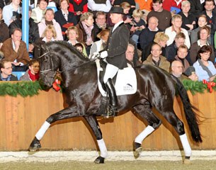 Hermann Gerdes and Detroit at the Gerd Sosath Stallion Show in Vechta, February 2010