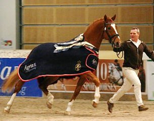 Tobajo Pik Disney, 2010 Norwegian Warmblood Licensing Champion