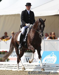 Steffen Frahm and Henglein's Licosto, a Westfalian stallion by Licotus x Rosenkavalier. The trot was a bit hurried, the walk was brilliant and the canter lacked ground cover. They got 8.44 and finished 7th.