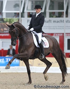 Honnerups Driver at the 2010 World Young Horse Championships in Verden :: Photo © Astrid Appels