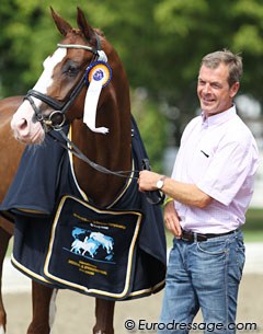 Blickpunkt was discovered as a foal by Ulf Möller (who is handling him here). He was trained at Hof Kasselmann and Italian Grand Prix rider Silvia Rizzo bought full ownership of the horse at the 2008 P.S.I. Auction