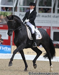 Eva Möller and Natascha van Dyk's Hanoverian stallion Soliere (by Sandro Hit x Donnerhall) won silver in the 6-year old Finals.