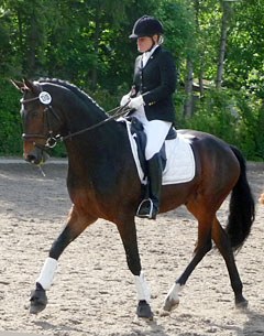 Cathrin Beckmann on Rock Ribery at the 2010 Wedel Bundeschampionate Qualifier