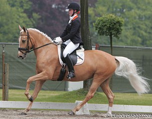 Antoinette te Riele and Dynasty at the 2010 CDN Weert :: Photo © Astrid Appels