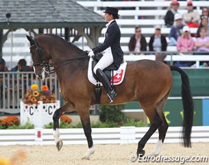 Swiss individual rider Elisabeth Eversfield-Koch on the Holsteiner The Lion King B