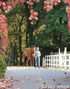 Nadine Capellmann and Girasol at their gorgeous home stable in Wurselen, Germany