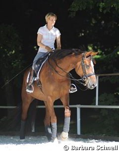 Each session starts with fifteen minutes of walking on the long rein